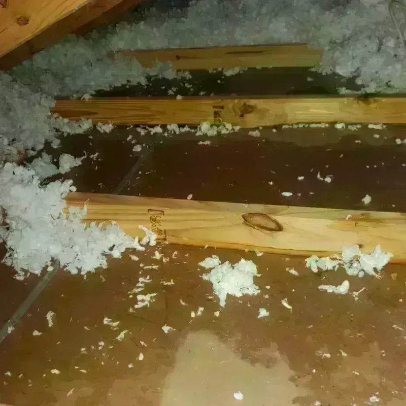 Attic Water Damage in City of Radford, VA