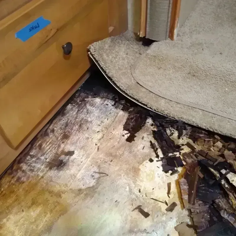 Wood Floor Water Damage in City of Radford, VA